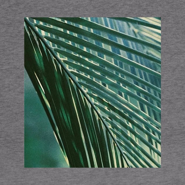 Tropical Palm Tree Leaf by SoCalDreamin